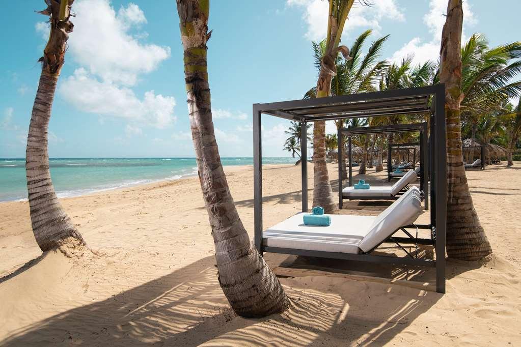 Live Aqua Beach Resort بونتا كانا الطبيعة الصورة